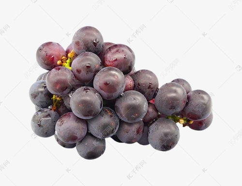 千库网 免费下载新鲜水果葡萄素材图片，提升设计效率